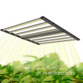 CAMPO 600W 8BAR LUZES COMPRO DE ESPECTURO COMPLETO